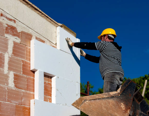 Best Energy-efficient Insulation  in Spring Lake, NC