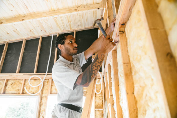 Best Local Insulation Services  in Spring Lake, NC