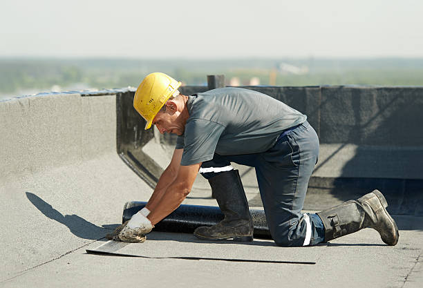 Best Insulation Removal Services  in Spring Lake, NC