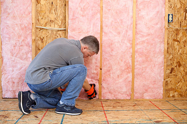 Best Affordable Insulation Services  in Spring Lake, NC