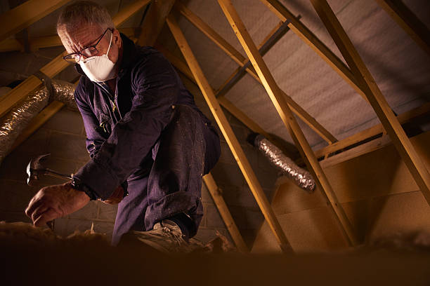 Best Cellulose Insulation  in Spring Lake, NC