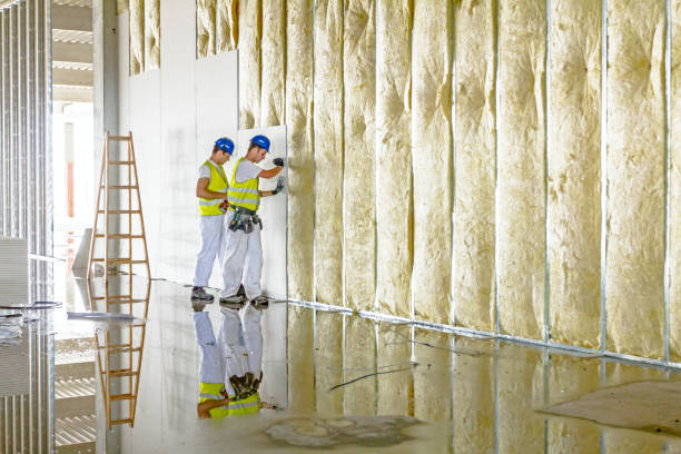 Best Fiberglass Insulation  in Spring Lake, NC